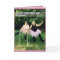 Tutu Birthday Cards for Senior Women