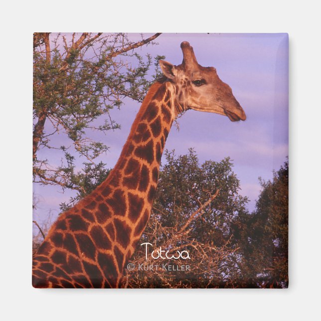 Tutwa, giraffe in Tetswana language, Magnet (Front)