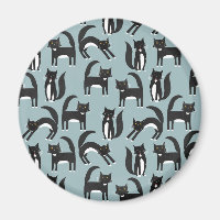 Tuxedo Black and White Cats