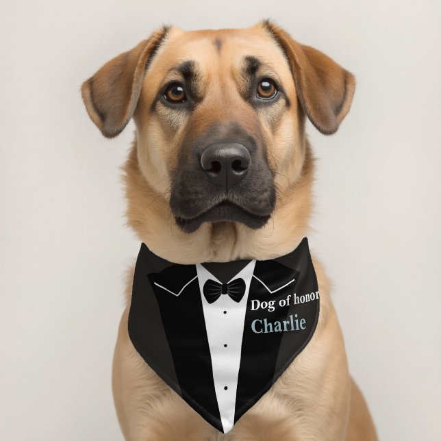 Tuxedo Black bow tie dog of honor Name Pet Bandana Collar (Dog 2)