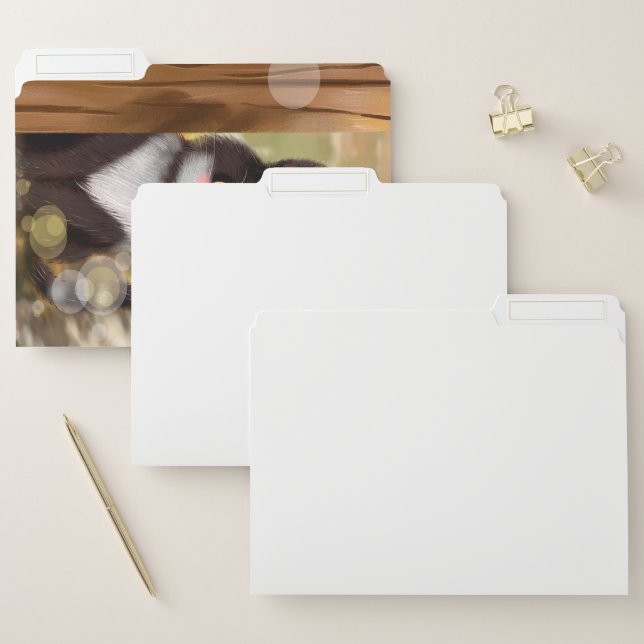 Tuxedo cat |Adorable Cat File Folder (Set)