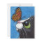 Tuxedo Cat and Viceroy Butterfly