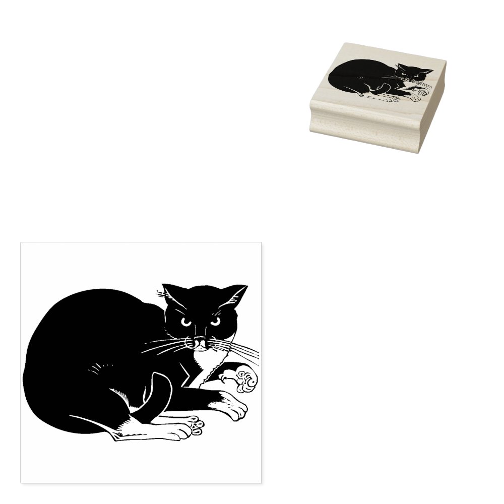 Disover tuxedo cat art stamp