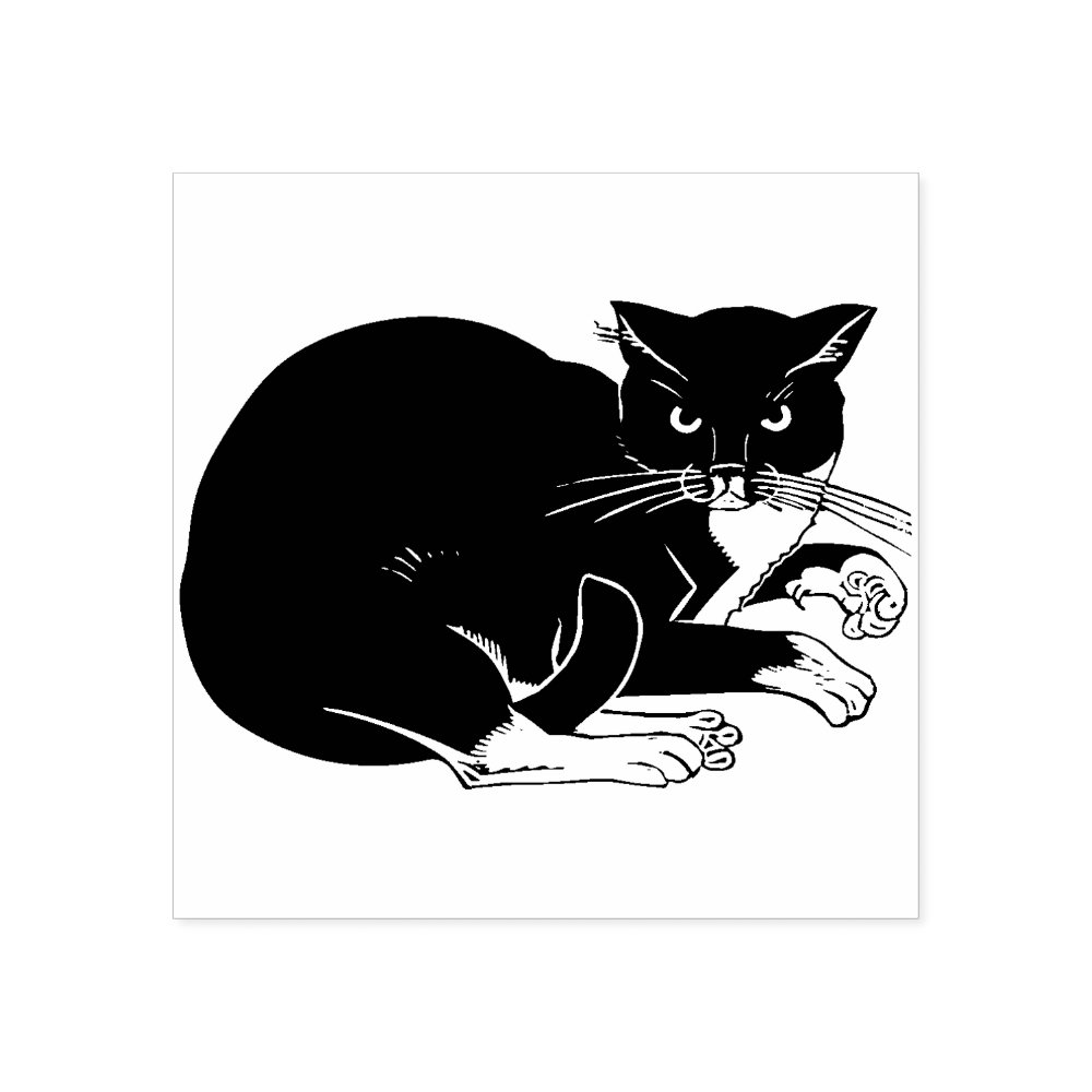Disover tuxedo cat art stamp