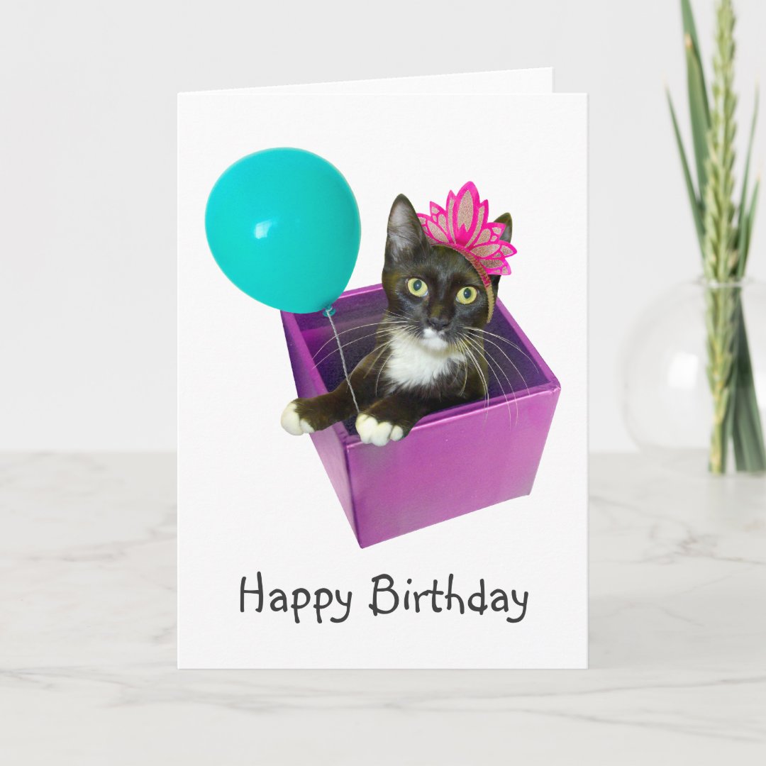 Tuxedo Cat Birthday Card | Zazzle