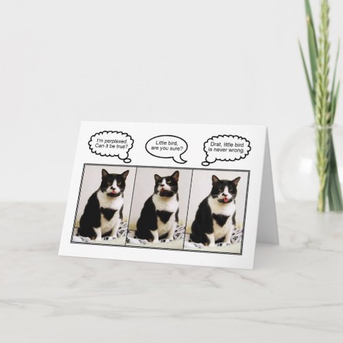 Tuxedo Cat Birthday Humor Card