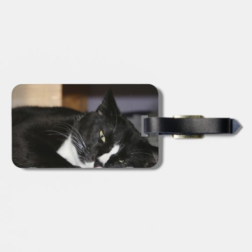 tuxedo cat black and white lying down one eye open luggage tag