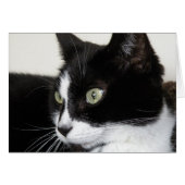 Tuxedo Cat Card (Front Horizontal)