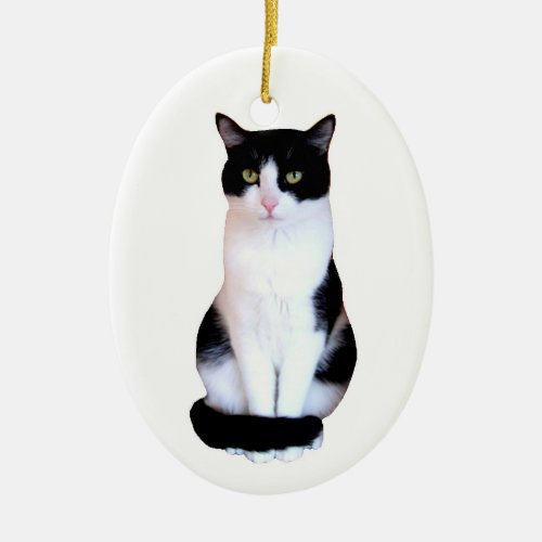 Tuxedo Cat Ceramic Ornament