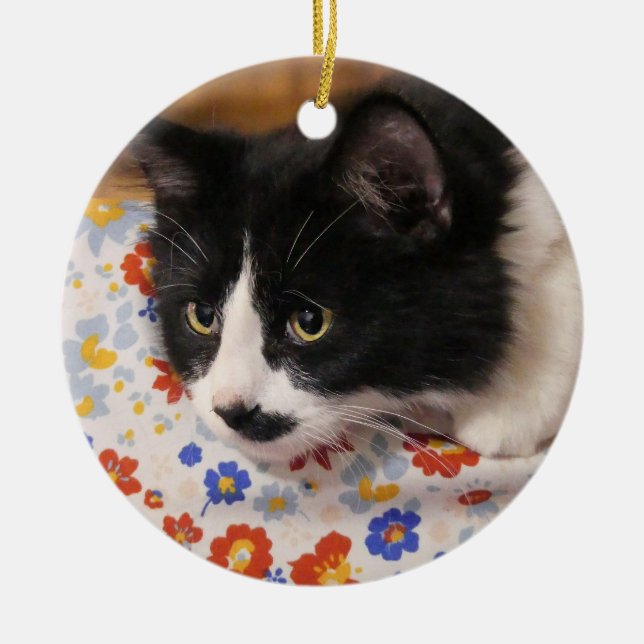 Tuxedo Cat  Ceramic Ornament (Front)
