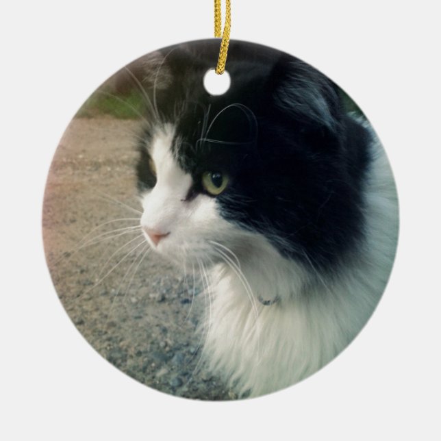 Tuxedo Cat Ceramic Ornament (Front)