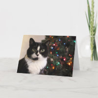 Tuxedo Cat Christmas Card