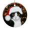 Tuxedo cat Christmas