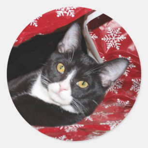 Tuxedo cat Christmas Classic Round Sticker