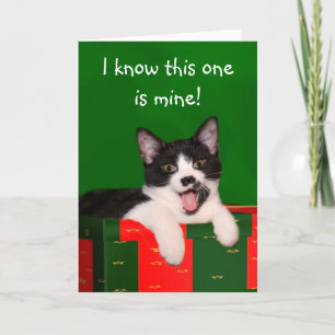 Tuxedo cat Christmas Holiday Card