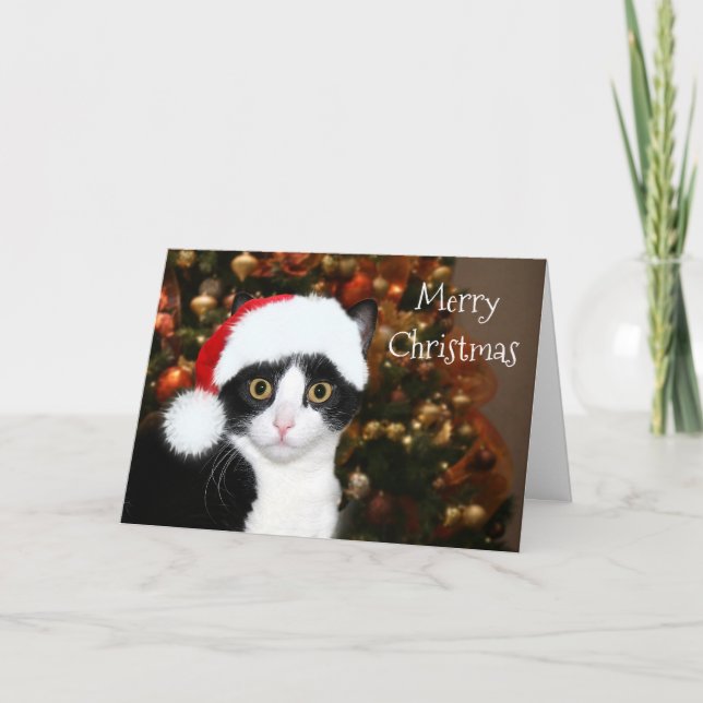 Tuxedo Cat Christmas Holiday Card (Front)