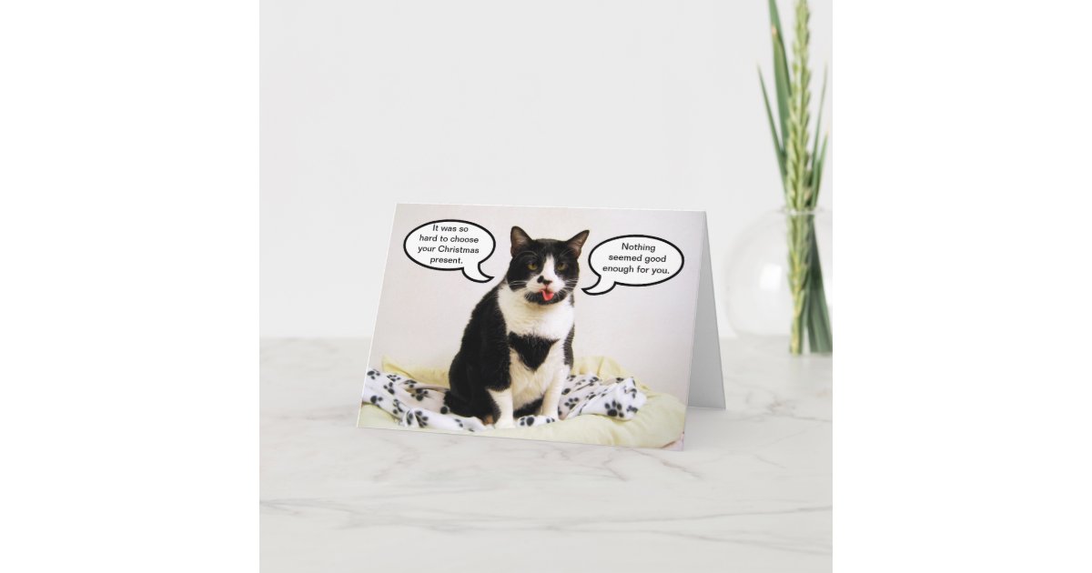 Humorous picture of a tuxedo cat