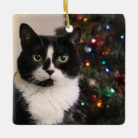 Tuxedo Cat Christmas ornament