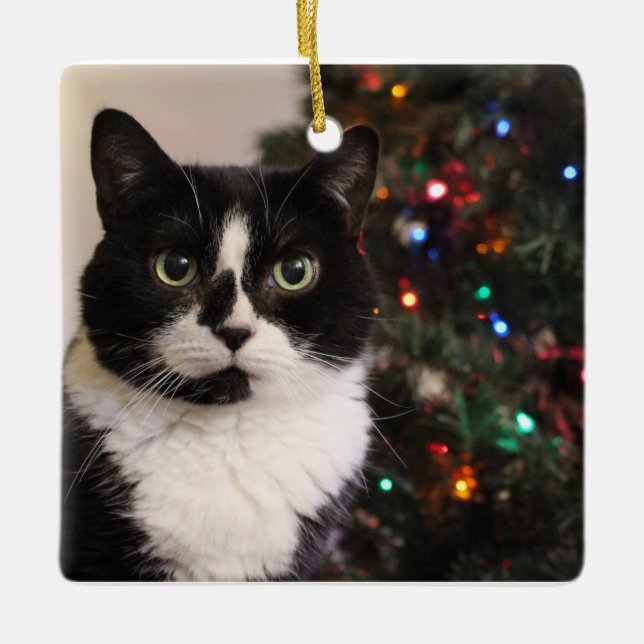 Tuxedo Cat Christmas ornament (Front)