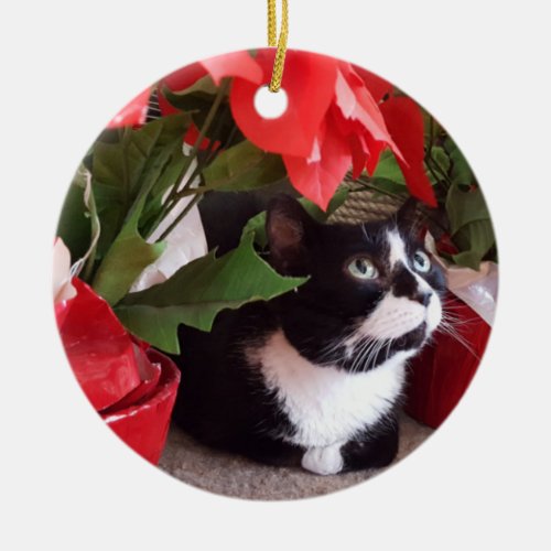 Tuxedo Cat Christmas Ornament