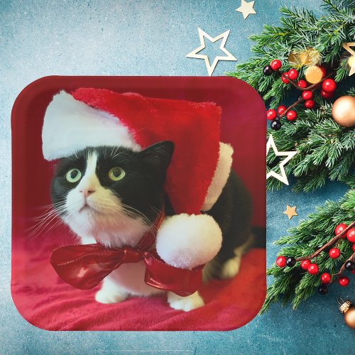 Tuxedo Cat Christmas Plates
