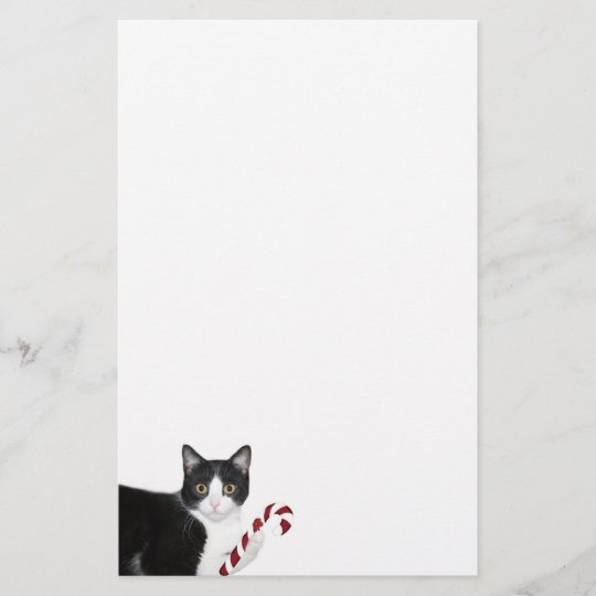 Tuxedo cat Christmas Stationery | Zazzle.com