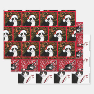 Tuxedo cat Christmas Wrapping Paper Sheets