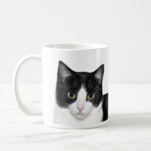Black And White Cat Mugs No Minimum Quantity Zazzle