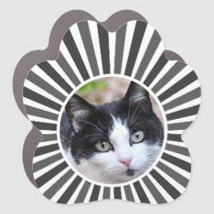 Tuxedo Cat Custom Photo on Gray & White Car Magnet