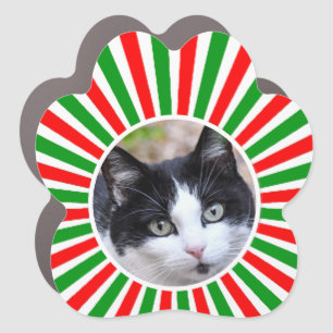 Tuxedo Cat Custom Photo on Green, Red & White  Car Magnet