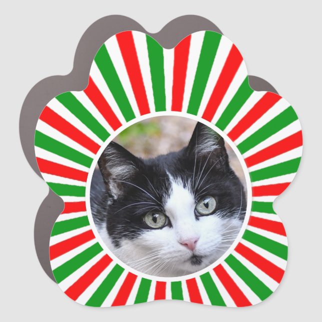 Tuxedo Cat Custom Photo on Green, Red & White  Car Magnet (Front)