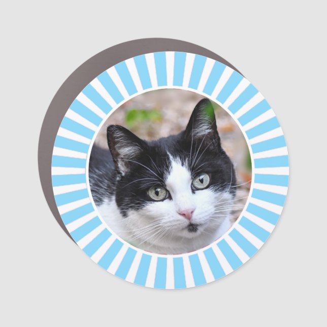 Tuxedo Cat Custom Photo on Light Blue & White Car  Car Magnet (Front)