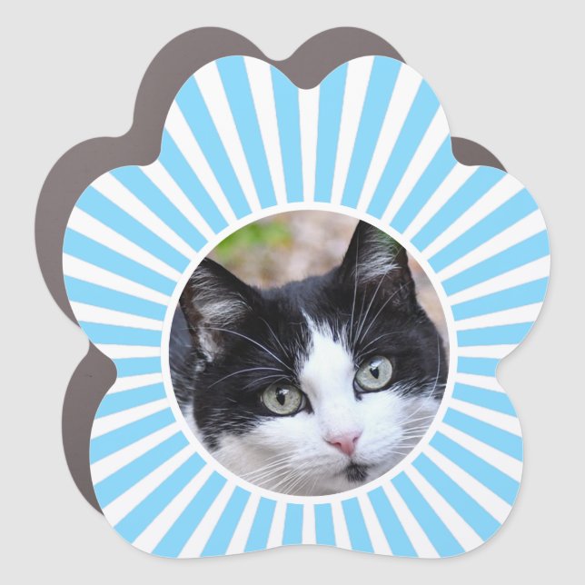 Tuxedo Cat Custom Photo on Light Blue & White Car Magnet (Front)