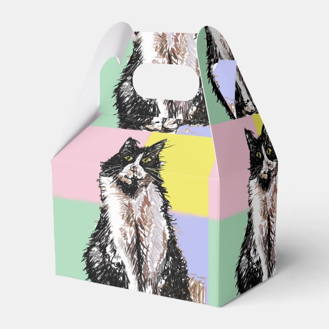 Tuxedo Cat Cute Cats Black White Pastel Rainbow Favor Boxes (Front Side)