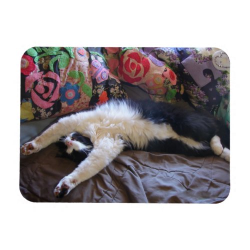 Tuxedo Cat Cute doing a Mexican Wave Postcard Magnet