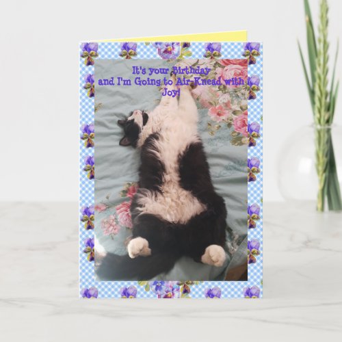 Tuxedo Cat Cute Funny Air Kneading Cats Viola Card
