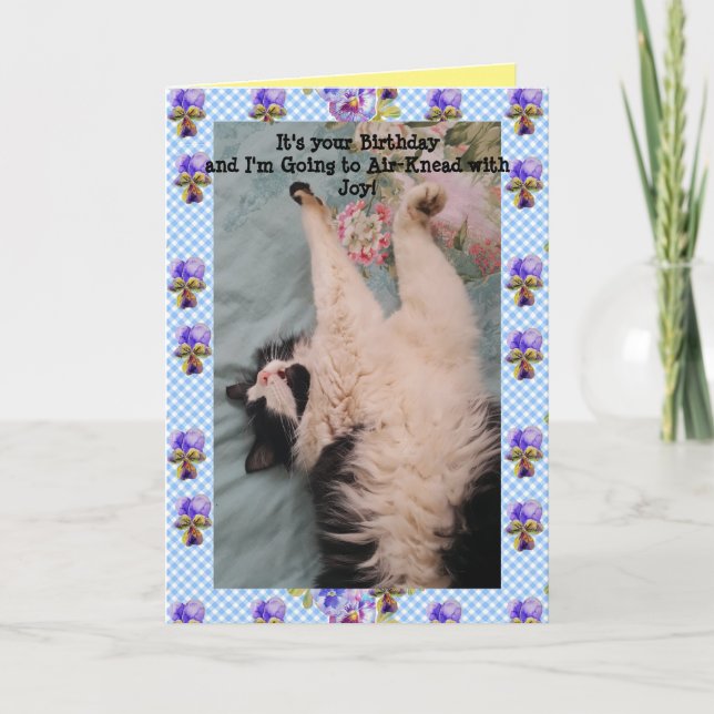 Tuxedo Cat Cute Funny Air Kneading Cats Viola Card (Front)