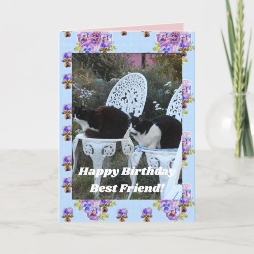 Tuxedo Cat Cute Funny Birthday Friend Cats Card