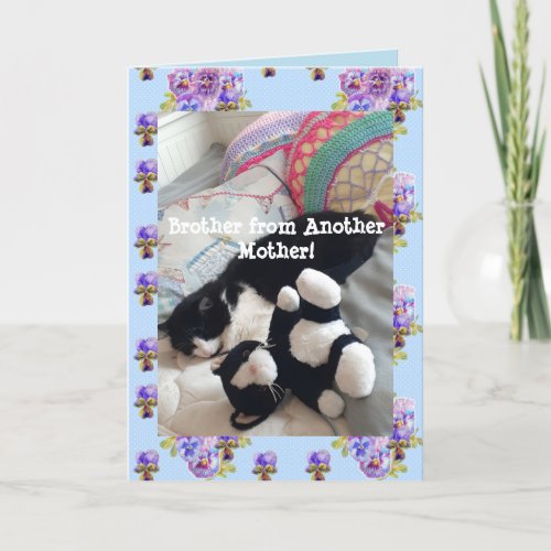 Tuxedo Cat Cute Funny Brother Cats Card