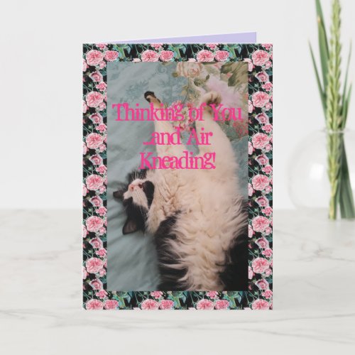 Tuxedo Cat Cute Funny Quote Air_Kneading Card
