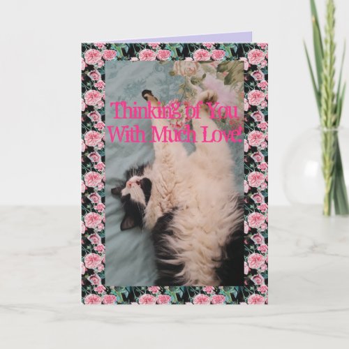 Tuxedo Cat Cute Funny Quote Air_Kneading Card