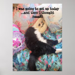 Tuxedo Cat Cute Funny Shabby Sleeping Cats Poster<br><div class="desc">I was going to get up today and then I thought... naah! Tuxedo Cat Cute Funny Shabby Chic Sleeping Cats Poster. Designed from one of my original photos,  a must for all cat lovers! A glorious poster to compliment any decor. De</div>