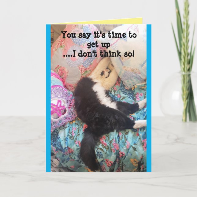 Tuxedo Cat Cute Funny Sleeping Cats Birthday Card (Front)