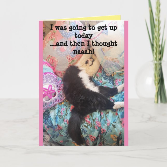 Tuxedo Cat Cute Funny Sleeping Cats Birthday Card (Front)