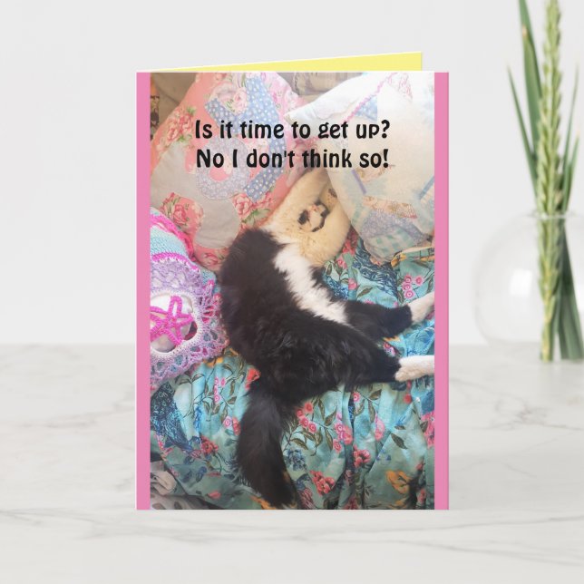 Tuxedo Cat Cute Funny Sleeping Cats Birthday Card (Front)