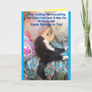 Tuxedo Cat Cute Funny Sleeping Cats Birthday Card