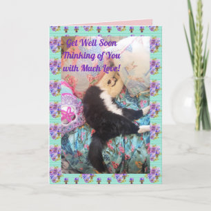 Tuxedo Cat Cute Funny Sleeping Cats Get Well Card