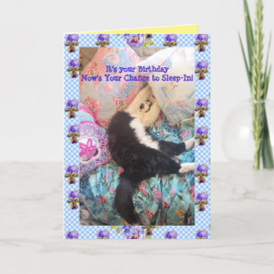 Tuxedo Cat Cute Funny Sleeping-In Cats Viola Card