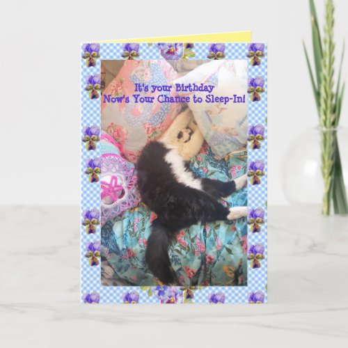 Tuxedo Cat Cute Funny Sleeping_In Cats Viola Card