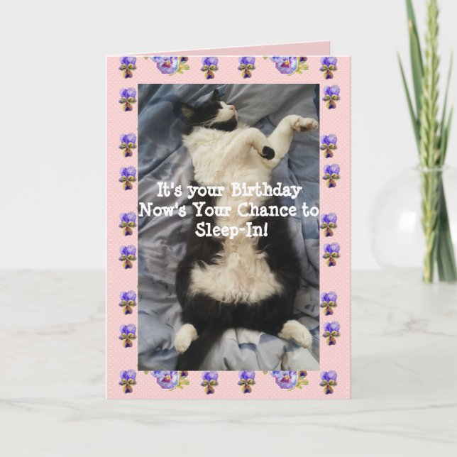 Tuxedo Cat Cute Funny Sleeping-In Cats Viola Card (Front)